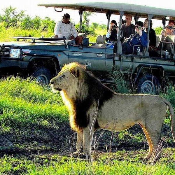 09 DAYS BEST KENYA AND TANZANIA BUDGET SAFARI